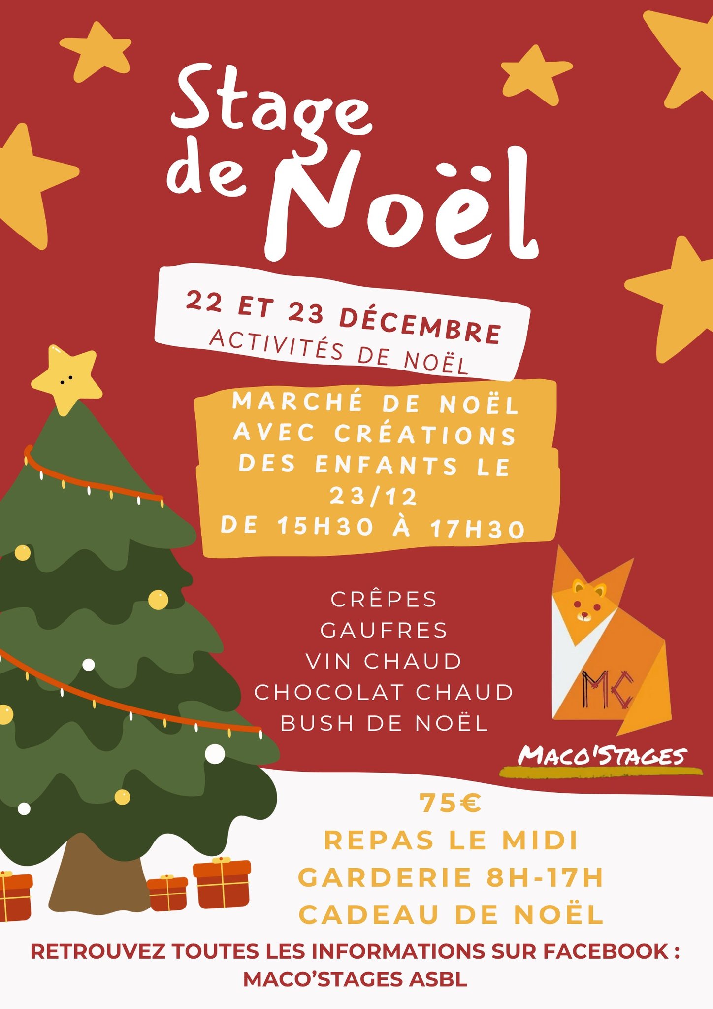 Stage de Noël- Maco'Stages